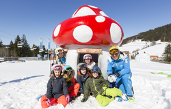 Skikurs